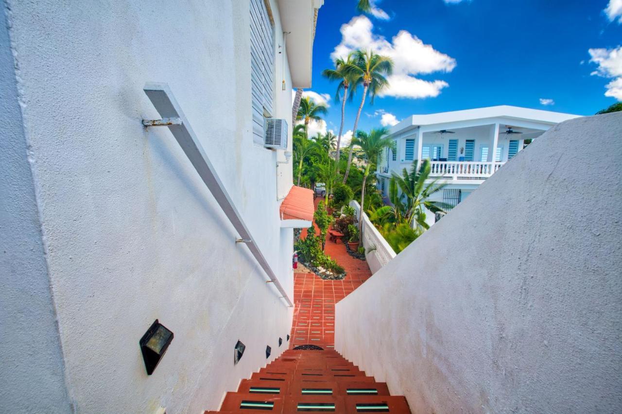 Coconut Palms Inn Rincon Kültér fotó