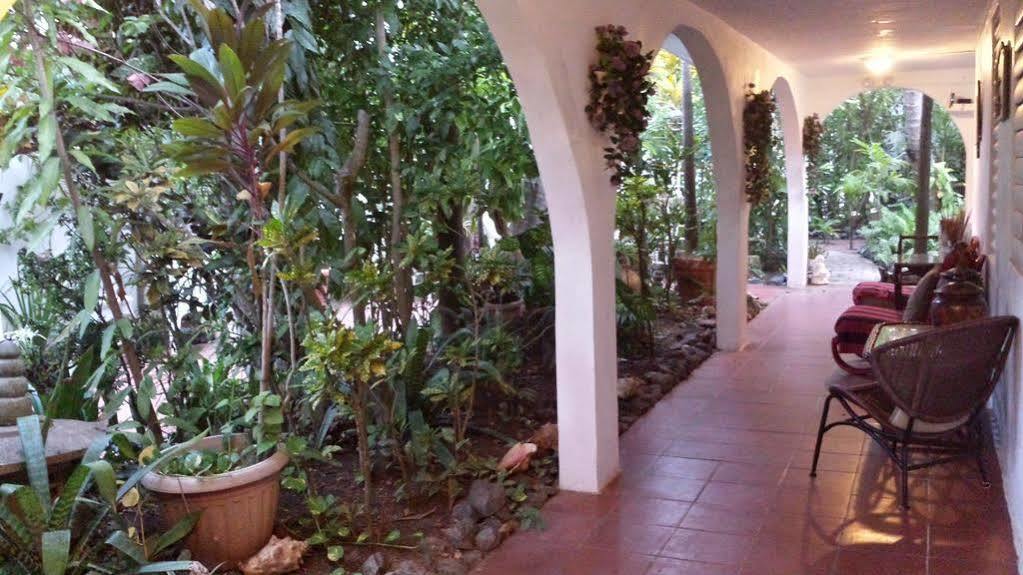 Coconut Palms Inn Rincon Kültér fotó