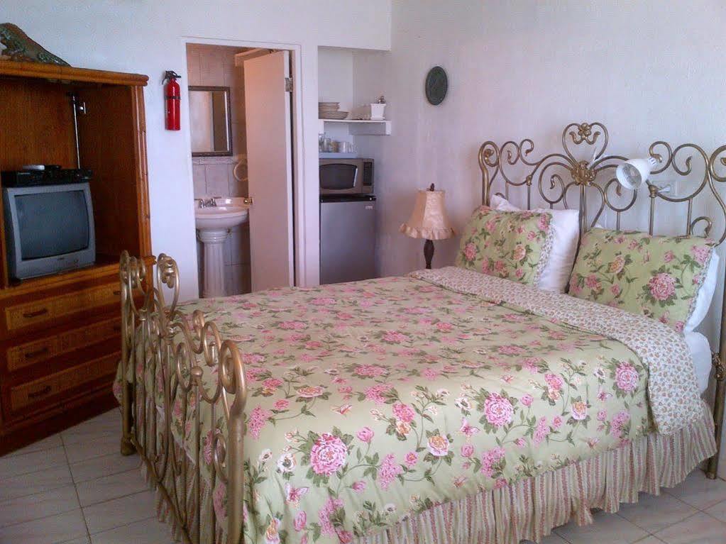 Coconut Palms Inn Rincon Kültér fotó